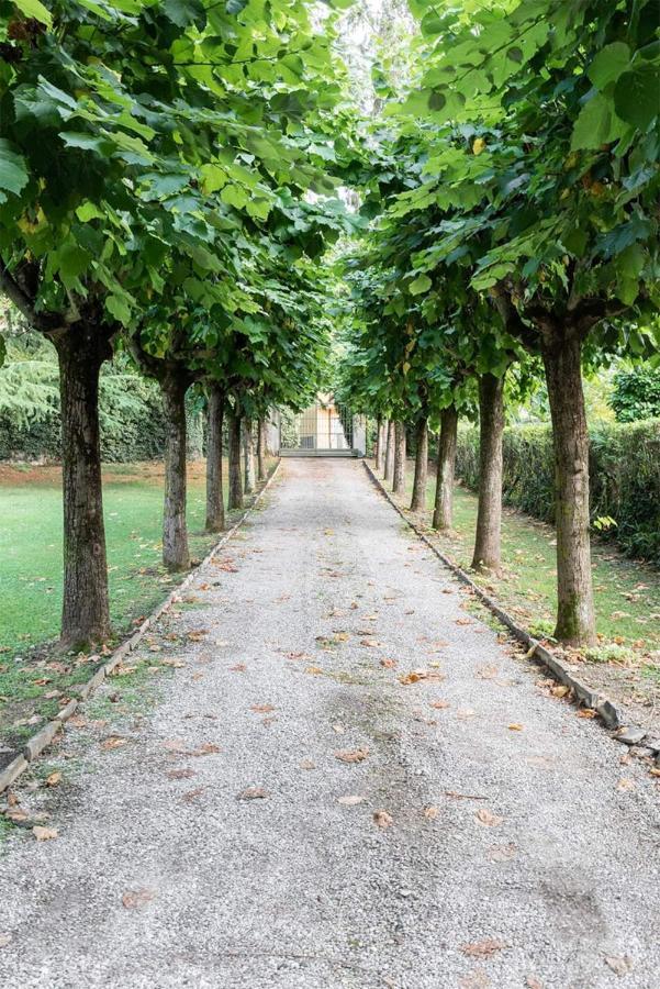 Villa Elisabeth Lierna Kültér fotó